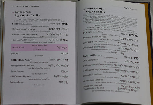 Seif Edition Transliterated Linear Haggadah, Rabbi Avie Gold , Rabbi Nosson Scherman