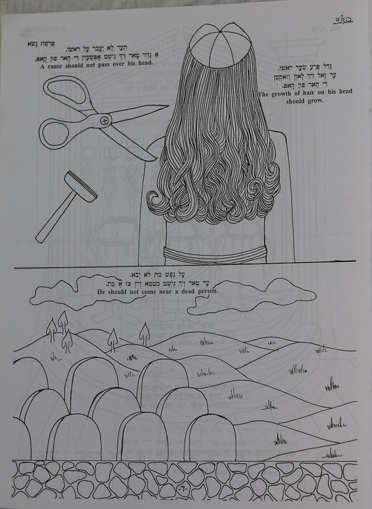 Colección de 7 Libros para Colorear