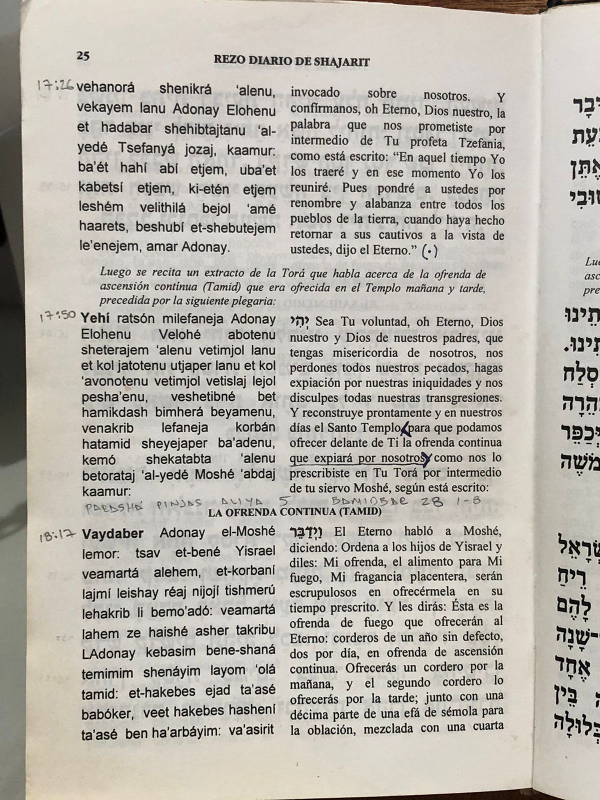 Sidur Bircat Shlomo – Oraciones Diarias con Traducción al Español y fonética