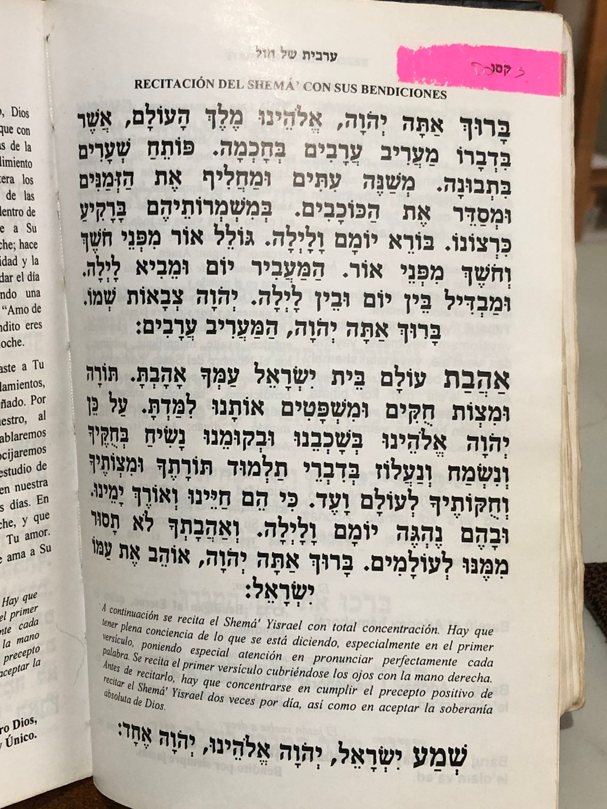 Sidur Bircat Shlomo – Oraciones Diarias con Traducción al Español y fonética