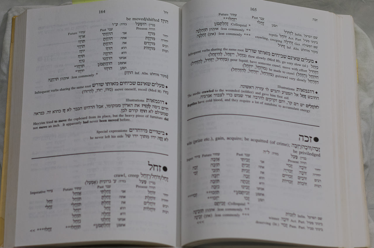 501 Hebrew Verbs, Shmuel Bolozky