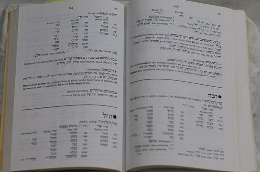501 Hebrew Verbs, Shmuel Bolozky