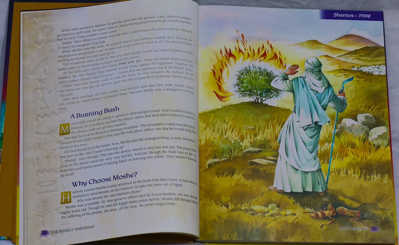 The Weekly Parashah Sefer Shemos,  Rabbi Nachman Zakon