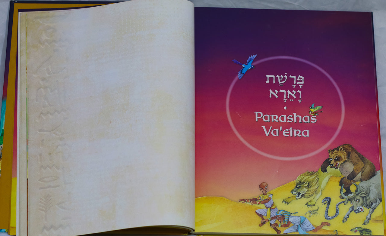 The Weekly Parashah Sefer Shemos,  Rabbi Nachman Zakon