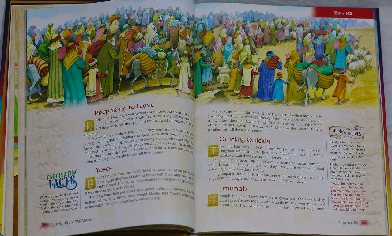 The Weekly Parashah Sefer Shemos,  Rabbi Nachman Zakon