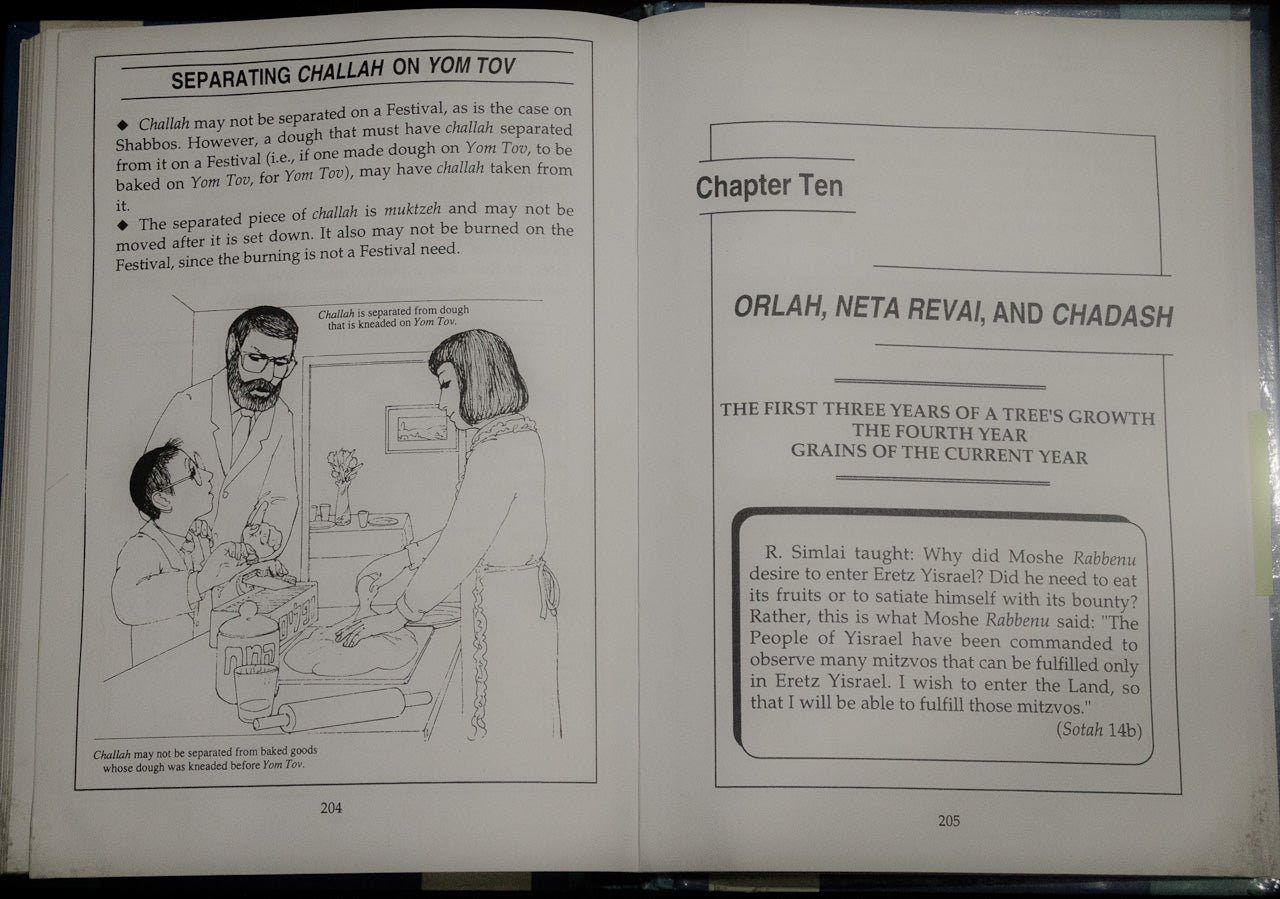 Illustrated Guide to the Kosher Kitchen – Guía Ilustrada de la Cocina Kosher