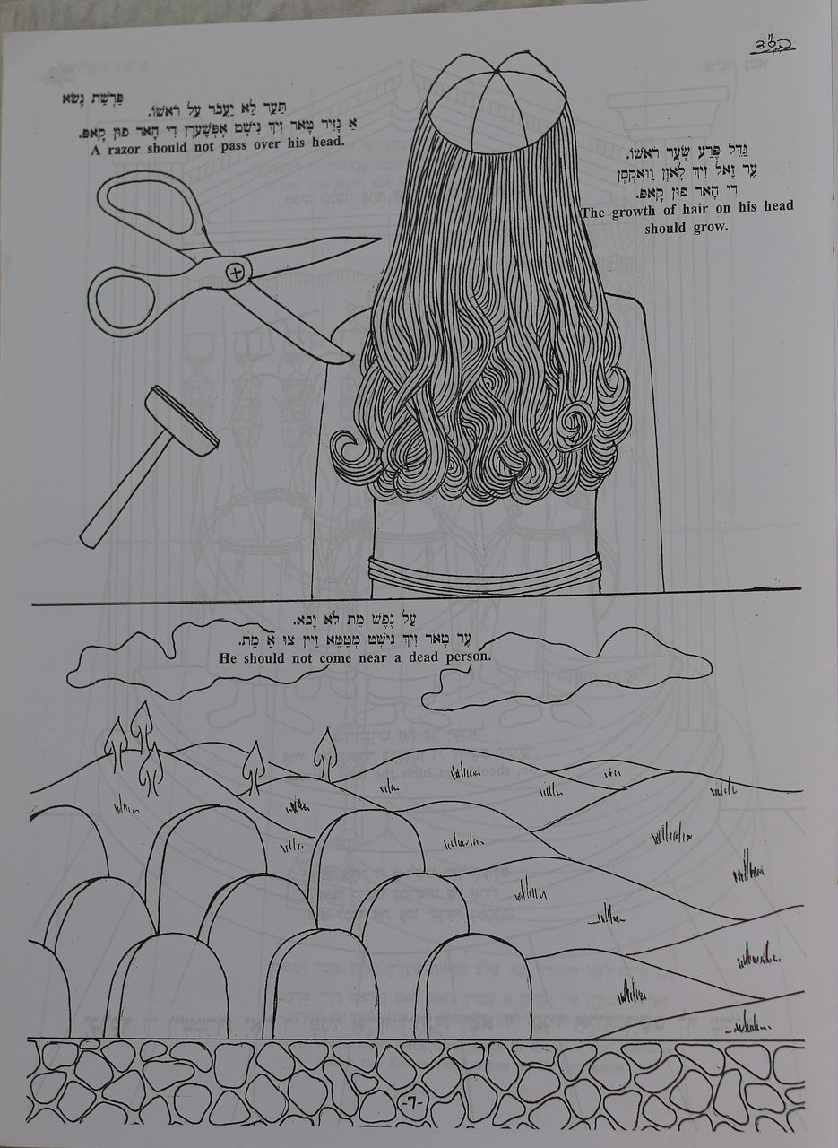 Colección de 7 Libros para Colorear