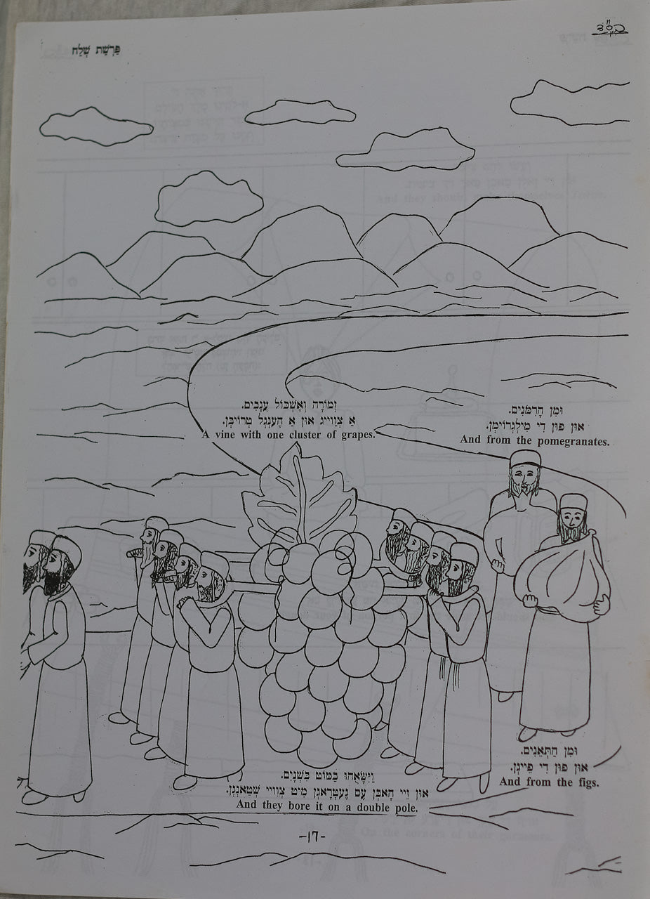 Colección de 7 Libros para Colorear