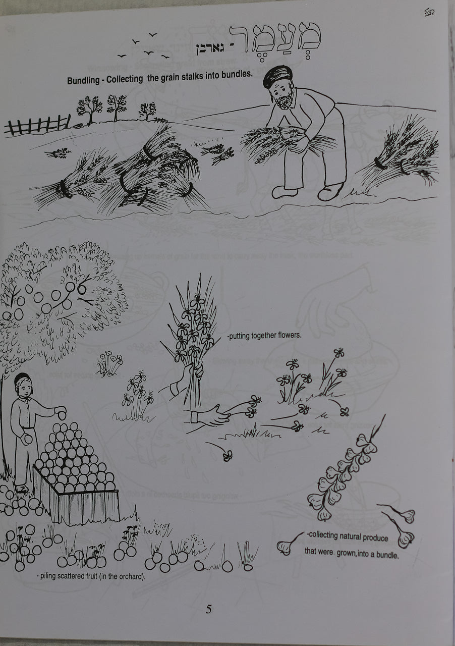 Colección de 7 Libros para Colorear