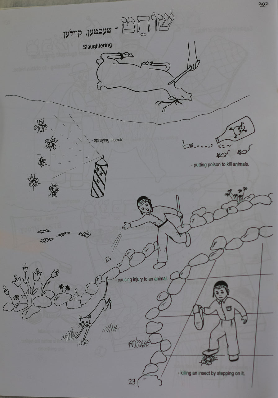 Colección de 7 Libros para Colorear