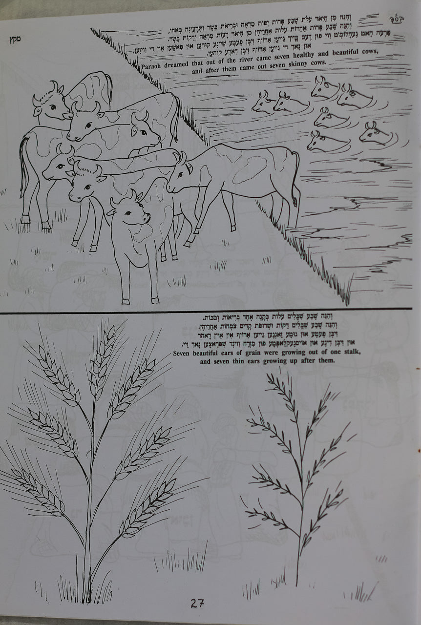 Colección de 7 Libros para Colorear