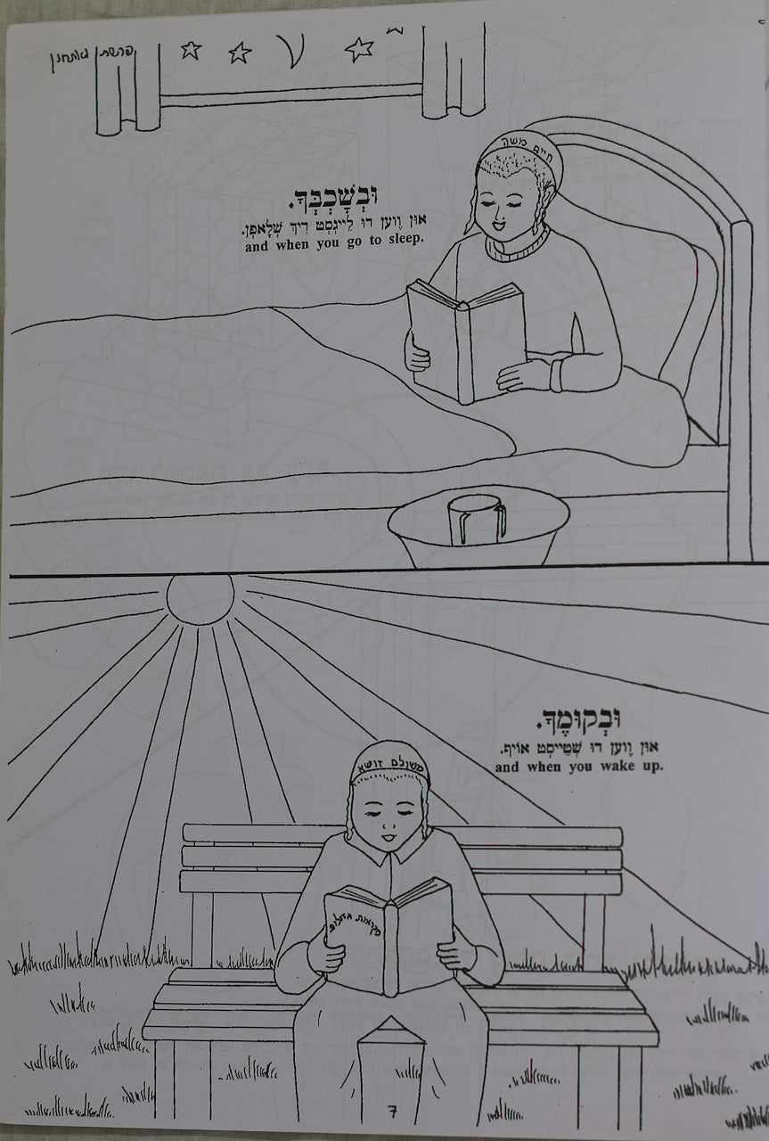 Colección de 7 Libros para Colorear