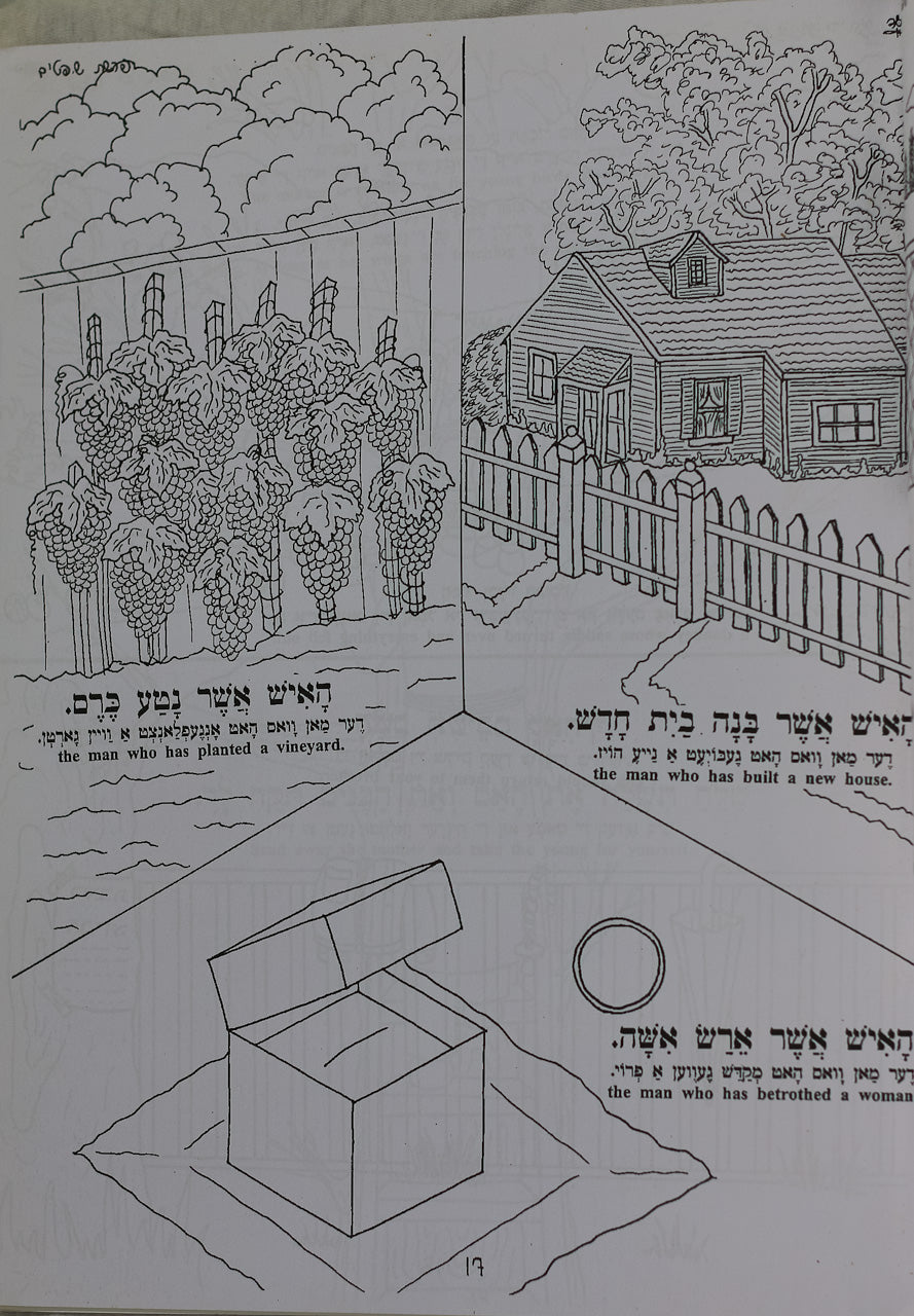 Colección de 7 Libros para Colorear