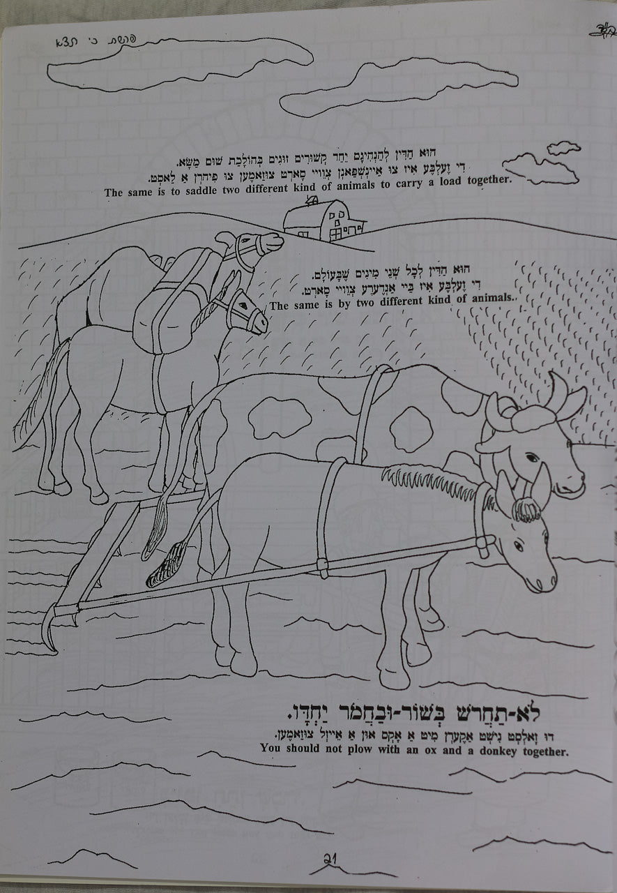 Colección de 7 Libros para Colorear