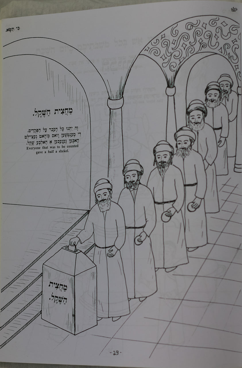 Colección de 7 Libros para Colorear