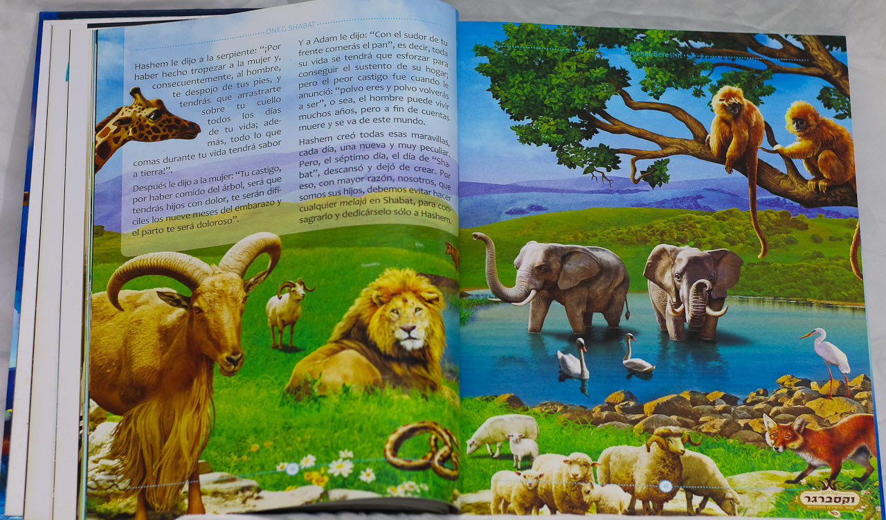 Oneg Shabat, Bereshit, T. Rozenberg, R. Yosef Lancry - Español