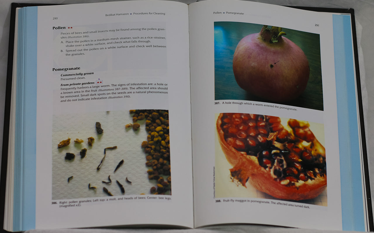 Bedikas HaMazon – Guía Práctica para la Revisión de Alimentos (Edición en Inglés)