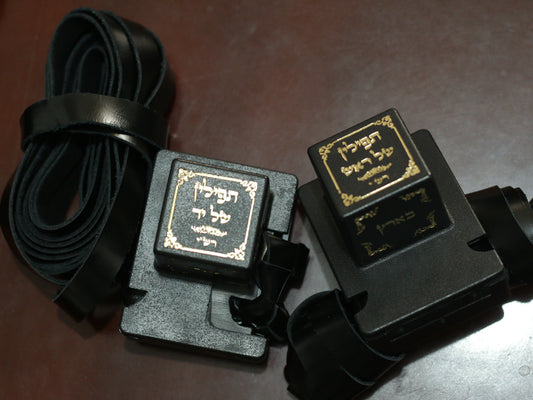 Set de Tefilín Askenazí
