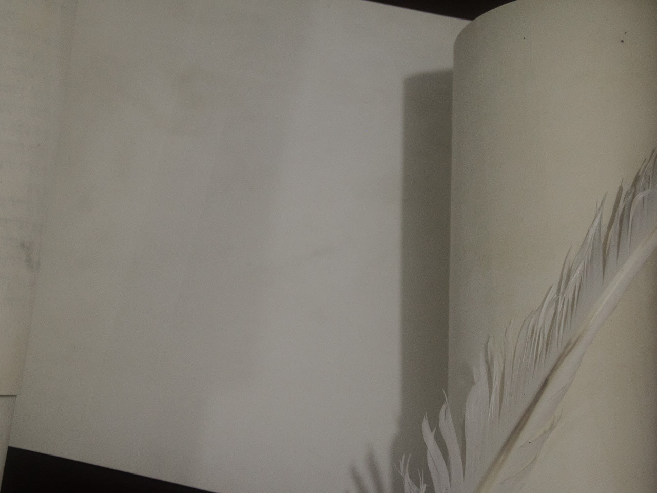 Meguilat Ester Kosher – Manuscrito en Pergamino (Klaf) para Purim